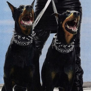 扒女教师的内衣❌❌作文
