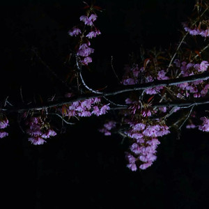 扒女教师的内衣❌❌作文
